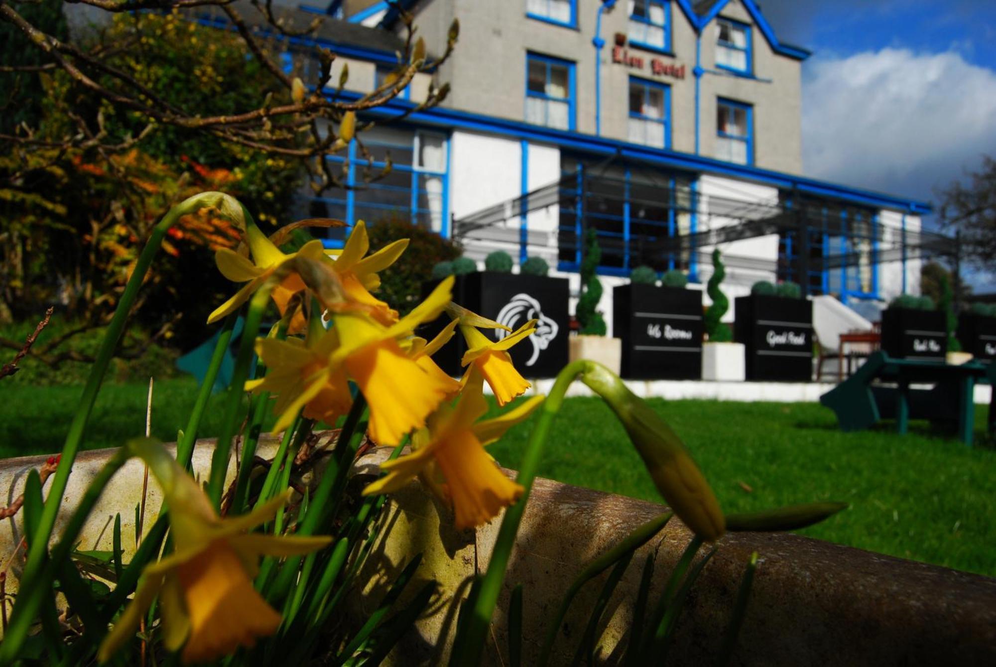 Lion Hotel & Studio Apartments Criccieth Ngoại thất bức ảnh